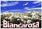 Biancarosa