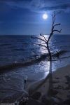Una Notte D’Estate