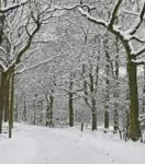 Inverno