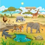 Uno zoo safari
