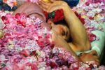 Cosa resta di un fiore