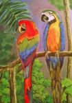 Il colore dei pappagalli