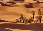 Nel deserto