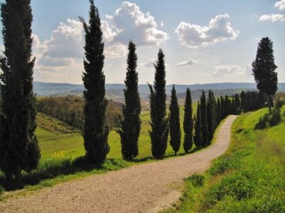 Colline di Toscana