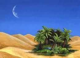 Nel deserto l'oasi