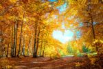 Settembre