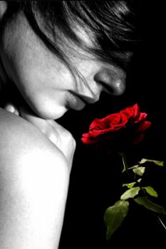 Una rosa rossa nelle stanze del dolore