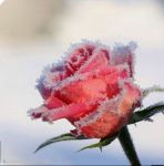 Piove negli occhi del tempo