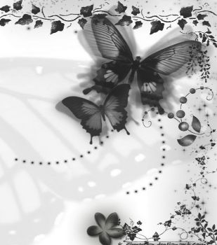 Farfalle (Figlie del Cielo)