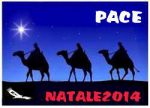 Pace (lingua napoletana)