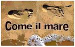 Come il mare