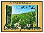 Cercasi primavera