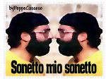 Sonetto... mio sonetto