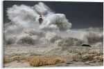 Tempesta E Leggerezza