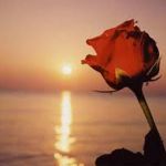 L’impronta Di Un Tempo Perduto