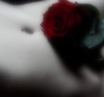 Rosa rossa dellAmore