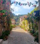 Carezza per lanima