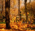 Malinconico autunno