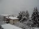 Neve