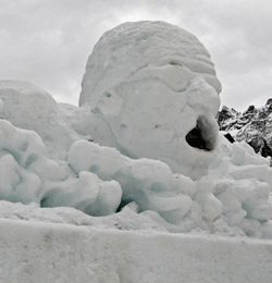 Il nuotatore fermo sulla neve