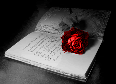 Una rosa al cuore
