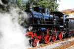 L'uomo che guardava passare i treni