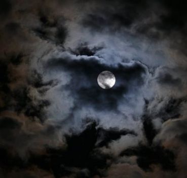 Alla luna (notturno)