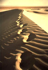 Fogli di sabbia