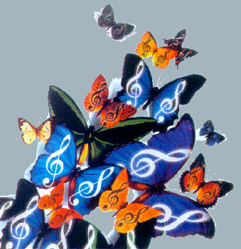 Farfalle di felicit