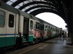 Il treno dell'emigrante