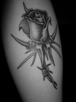Rosa tatuata  