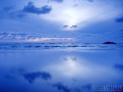 Un grappolo d'azzurro