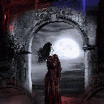 Accarezzo l'ala della sera