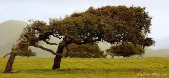 Non c'� un perch�... o forse si