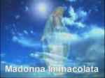 Madonna Immacolata  