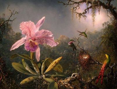 Libert� d'amare [e non]