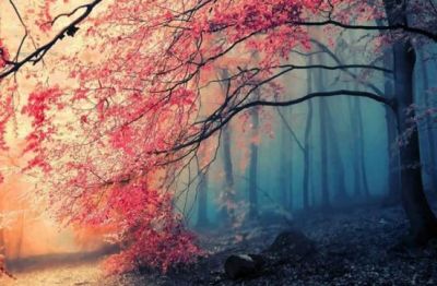 Con te sempre, perch�