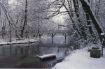 Fuori la neve danza  