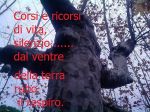 L'albero dell'amore (Tu sai cos' il dolore?)  