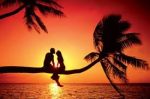 Il cuore attende