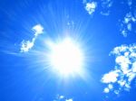 Il sole bacia radici d'inverno