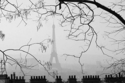 Mattino di nebbia dopo l�ennesima strage