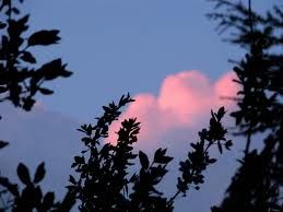 La nuvola rosa