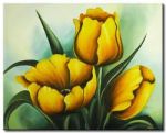 Il tulipano giallo