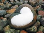 Cuore di neve